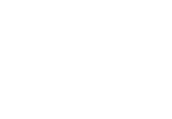 Wavestone Logo